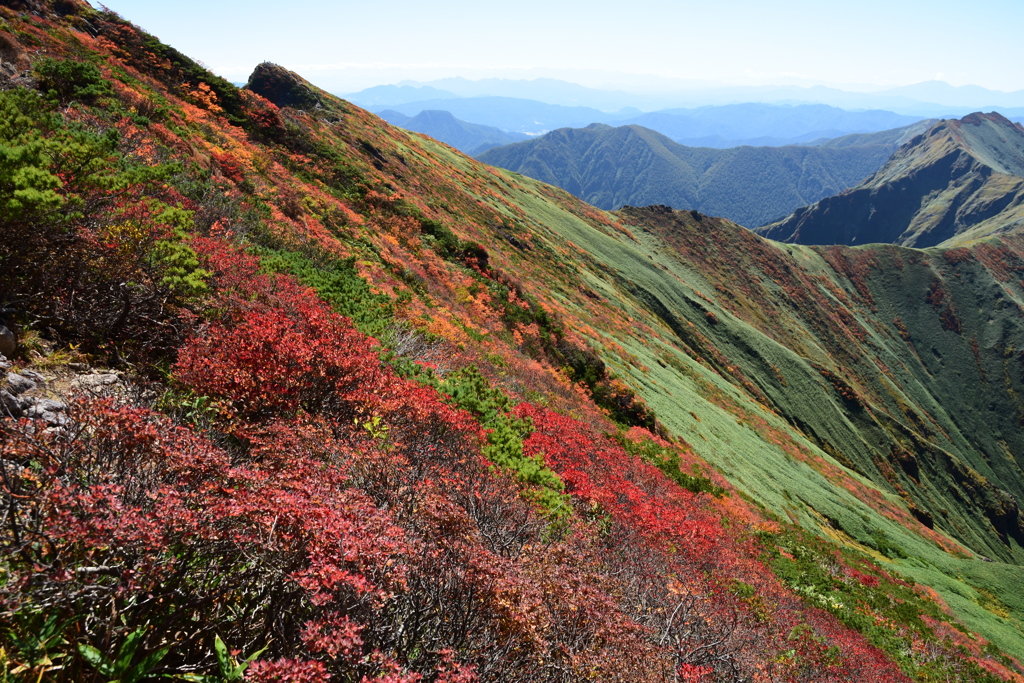 紅葉の稜線