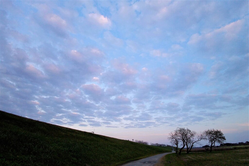 秋の夕暮れ2