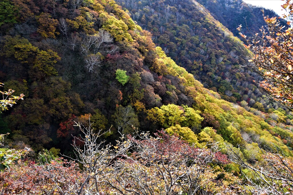 秋色の山肌