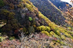 秋色の山肌
