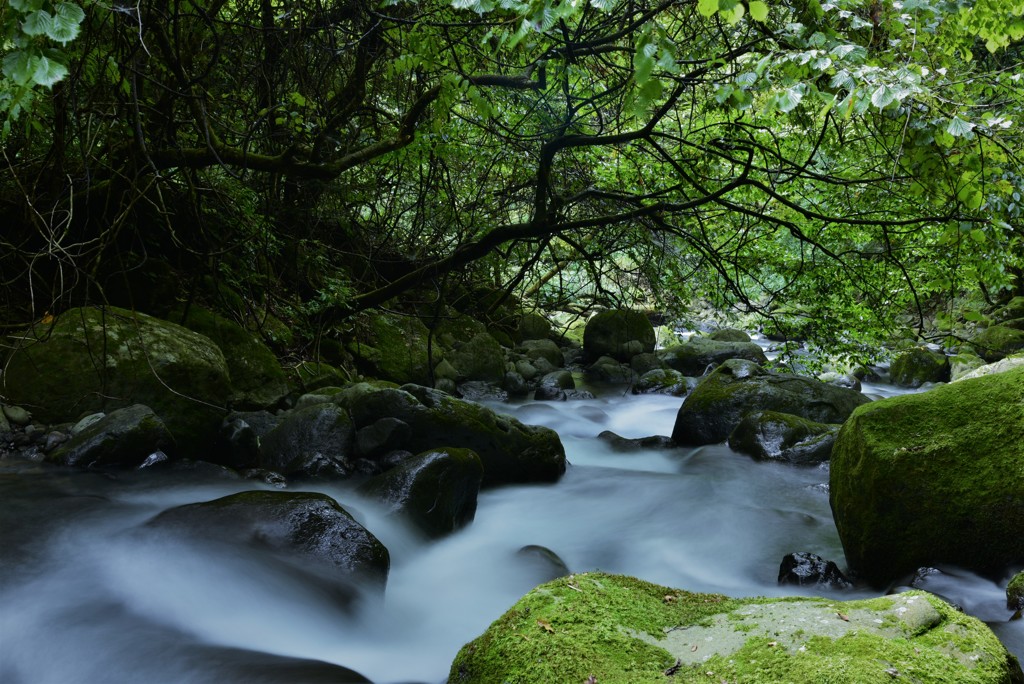 雲の流れのように