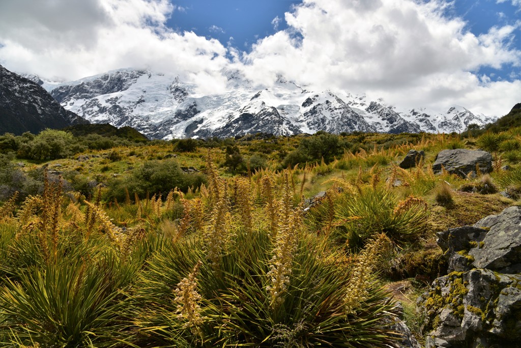 春のマウントクック