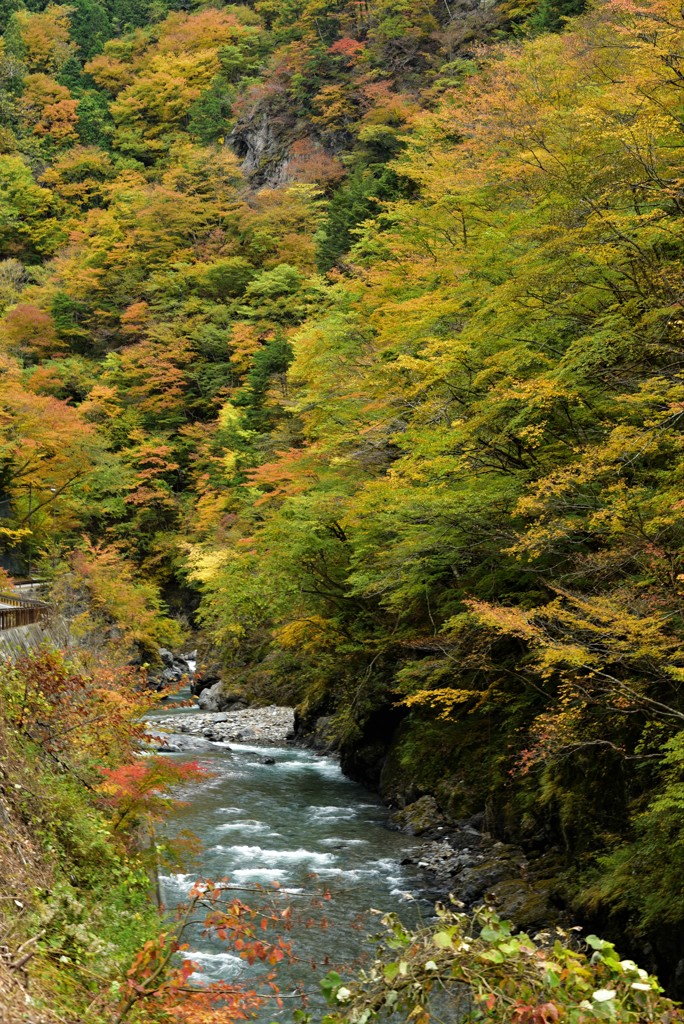 秋色渓谷２