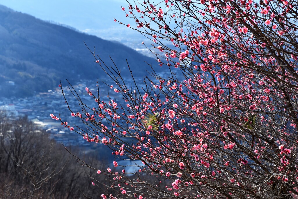 もうすぐの春