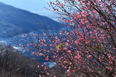 もうすぐの春