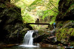 彩りを待つ渓谷