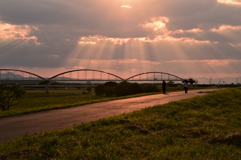 夕陽のシャワー