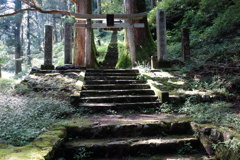 静謐の杜