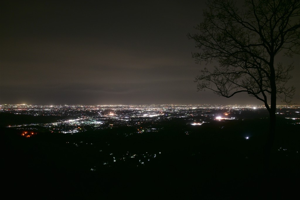 街灯りどこまでも