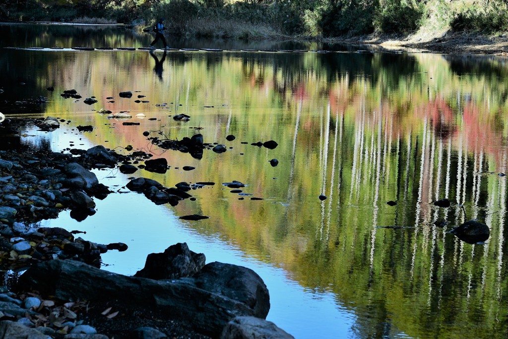 秋の水音