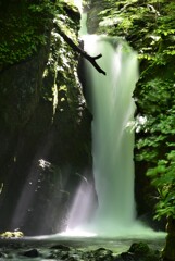 緑水滴る