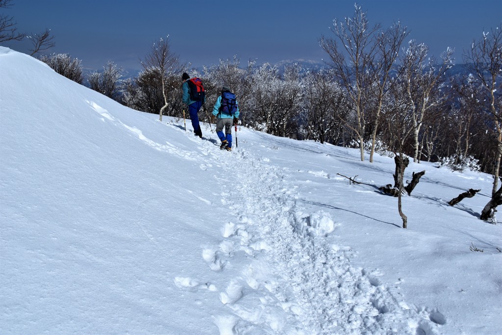 もう少しの先へ