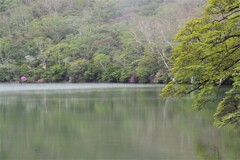 霧が来る前に