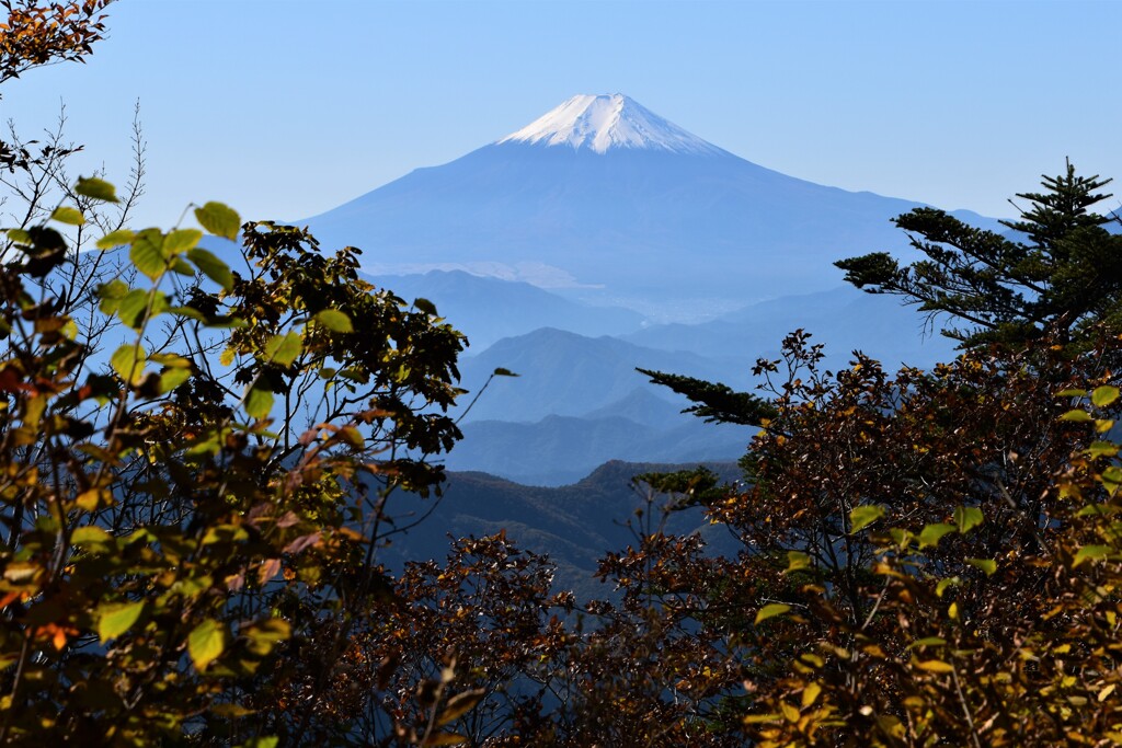 三頭山頂の秋富士
