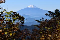 三頭山頂の秋富士