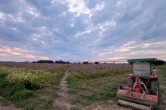 秋の夕暮れ3