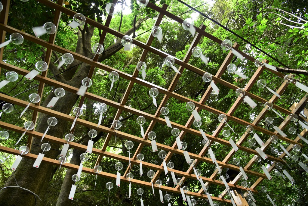 涼風が呼んでいる