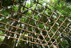 涼風が呼んでいる