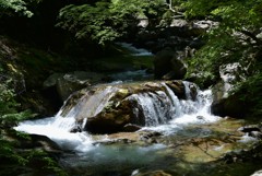 静謐の流れ