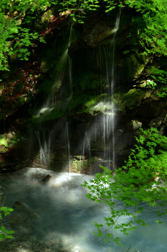 清流スッカン沢