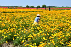 探しものは何ですか
