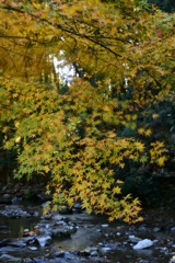 秋色を流して３