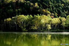 朝陽の木戸池１