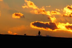 犬と歩く