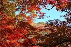 大平山をのぞく
