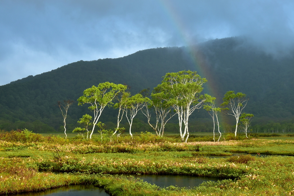 雨上がりの贈り物