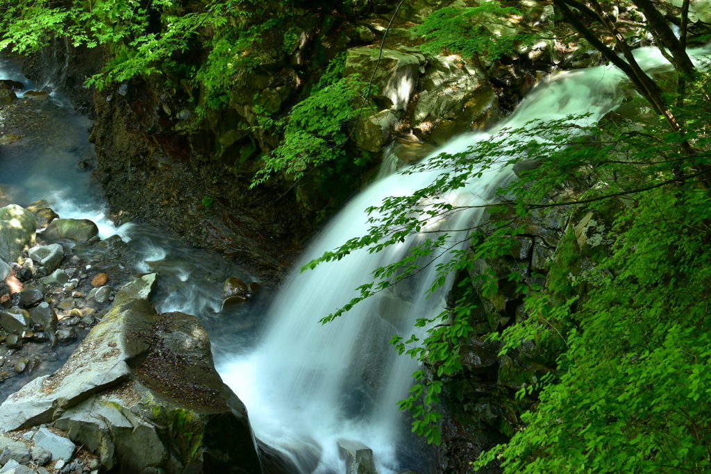 スッカン沢、初夏