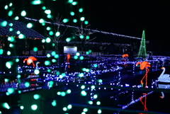 光りの世界ー蛍舞い