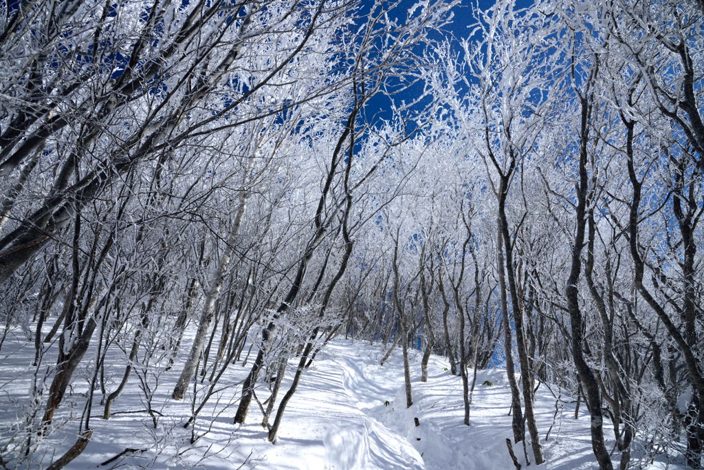 氷点下の贈り物４