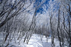 氷点下の贈り物４