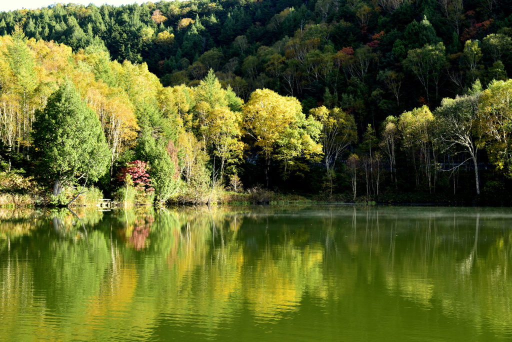 朝陽の木戸池３
