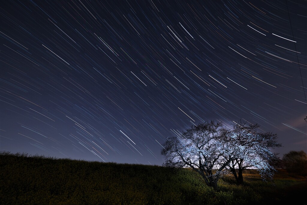 星降る夜に