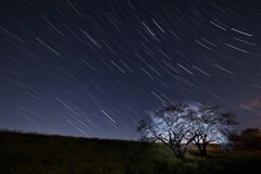 星降る夜に