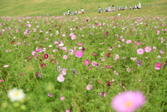 散歩タイム