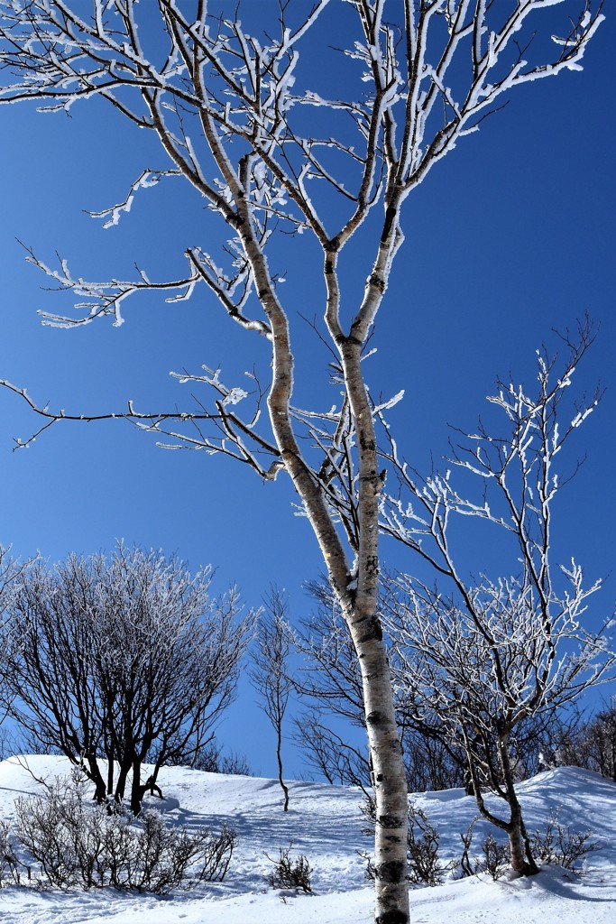 赤城ブルーに立つ