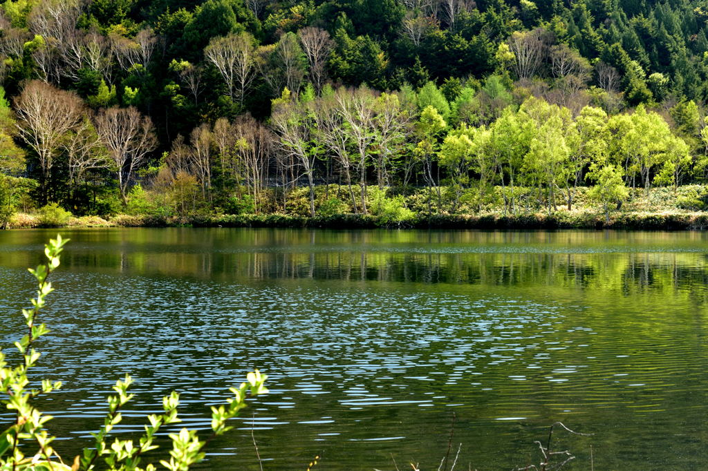 春の湖Ⅱ