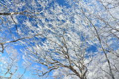 氷点下の贈り物２