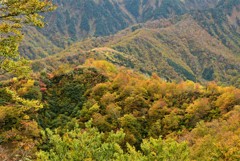色づく尾根