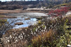 八島湿原の晩秋