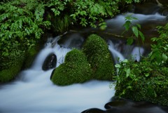 流れに寄り添う