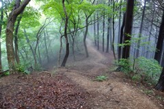 霧の誘惑