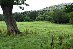 高原で迎えた朝