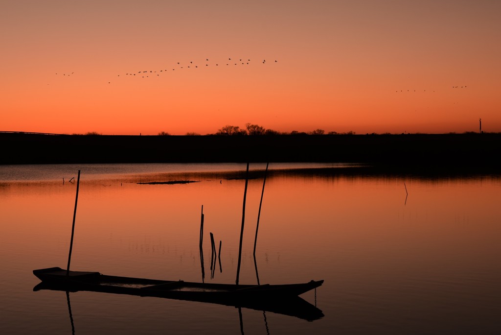 渡良瀬の夜明け