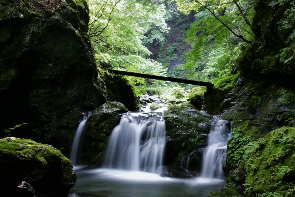 深山冷流