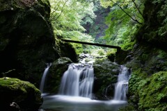 深山冷流
