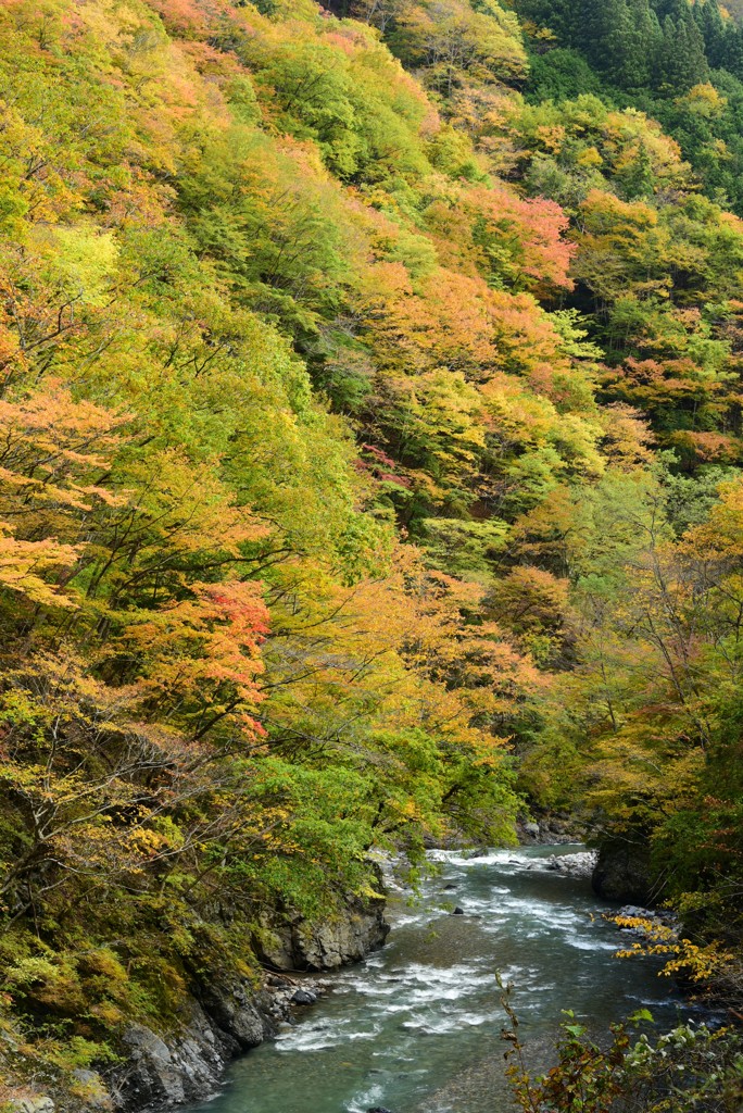 秋色渓谷